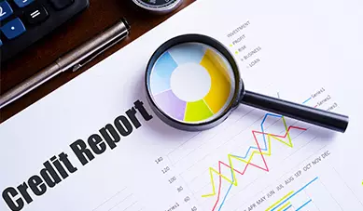 What is STD in CIBIL Report, Full Form and Meaning